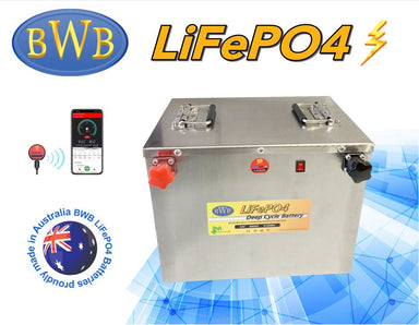 Big Wei 24V 200Ah LiFePO4 Golf Cart Battery