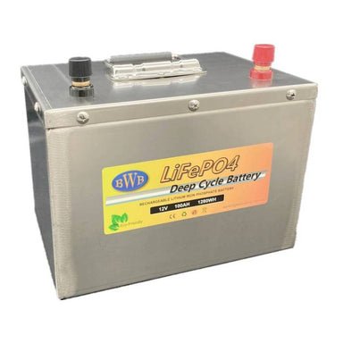 Big Wei 12V 100Ah LiFePO4 Battery, Stainless Steel SS12100