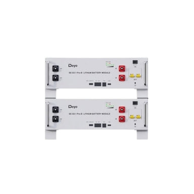 Deye SE-G5.1 PRO-B5.12kWh Battery x 2